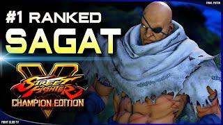 Tsune (Sagat)  Street Fighter V Champion Edition • SFV CE