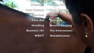 Equine Massage Certification Course Overview