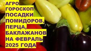 ФЕВРАЛЬ 2025: САМЫЕ ЛУЧШИЕ дни для Посадки Томатов, Сладкого Перца, Баклажанов