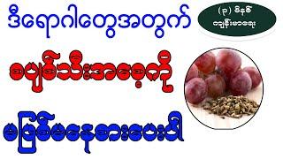 ဒီရောဂါတွေအတွက် စပျစ်သီးအစေ့ကို မဖြစ်မနေစားပေးပါ