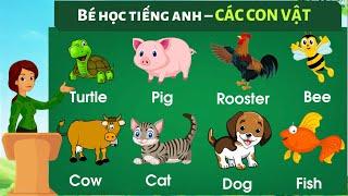 [ Giọng mỹ ] Bé học tiếng anh con vật | Bé tập nói các con vật bằng tiếng Việt - Anh - Thanh nấm