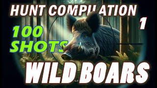 Eliminating Wild Boar Pests: A Comprehensive Guide to Hunting Techniques