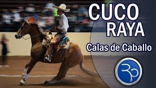 CALAS DE CABALLO - Cuco Raya - 5to Torneo del Millon 2019