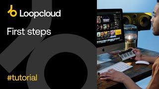 First steps - Loopcloud 6