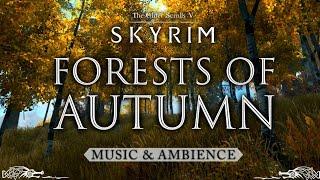 Forests of Autumn | Peaceful Skyrim Music & Ambience | 3 Hours