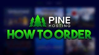 How to Order & Host a Server! (Pine Hosting Basics)