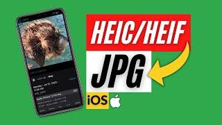 How To Convert HEIC to JPG on iPhone