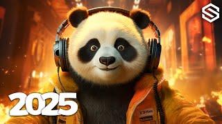 Music Mix 2025  EDM Mixes Of Popular Songs  EDM Bass Boosted Music Mix #010