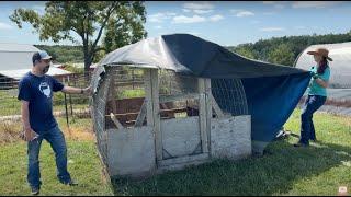 This HOOP COOP Lasted 4 years without REPAIRS!  UNTIL TODAY!