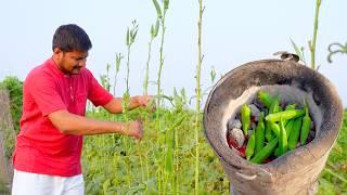 Typical Indian Lunch Making | Amazing Indian Cooking Video