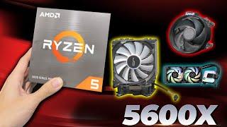 Ryzen 5600X Stock Cooler Test! Do You Need an After Market cooler?