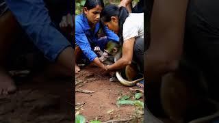 Two women are helping a monkey escape from a snake