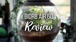 Watch this before buying a BiOrb Air | Biorb Air 60 Terrarium Review