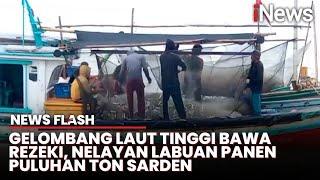 Nelayan Pandeglang Panen Puluhan Ton Ikan Sarden di Musim Angin Barat | News Flash