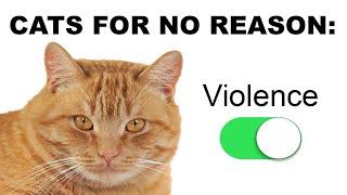 Funniest Cat Memes