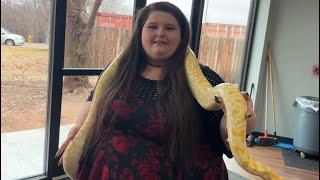 this vlog feels like a fever dream (yes, that's a snake).