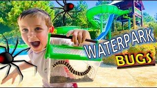 WATERPARK Vacuum BUG HUNT for KIDS!! SPIDERS, CENTIPEDES, Earwigs, Snails, SLIDES & MORE REAL BUGS!!