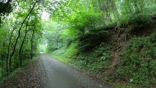 The Path to the Admiral Rodney`s Pillar, Breidden Hill, Powys, Wales