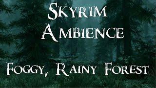 Skyrim Ambience - Foggy Rainy Forest - 1 hour