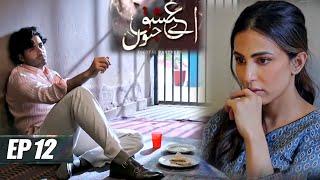 Ae Ishqe Junoon Epi 12 Promo|Teaser|Ushna Shah|#aeishqejunoonepi13|ARY TV Dramas Review