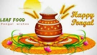 Happy pongal |Harvest festival |Thanksgiving Day |leaf food |Indian festival holidays