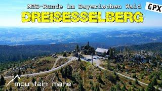 Dreisesselberg | 60 km - 1400 hm MTB-Runde im Bayerischen Wald