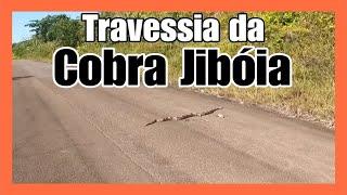 EP. 08 | Vila do Balbina à Manaus | AM-240 / BR-174 - Viagem: Brasil Pela Amazônia