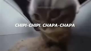 chipi chipi chapa chapa dubi dubi daba daba Christell - Dubidubidu (LETRA)