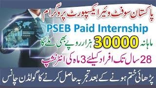 Pakistan Software Board Internship 2023 - Pakistan Software Export Board Jobs 2023 - PSEB Internship