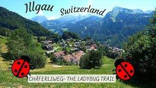 Ladybug theme trail for children  • Chäferliweg   Illgau, Switzerland