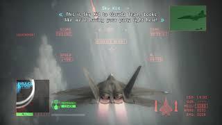 when your friends arrive to rescue you in ace combat