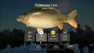 Russian Fishing 4  Bear Lake Common Carp Active Spot #12 & 80% Bottom Fishing!