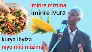 kwirinda no kwivura. Ibigori, amasaka, intoryi, amashaza, umumero wa soya, urunyanya, tofu. Nzungu
