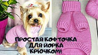 Crochet a simple sweater for a yorkie dog | Вяжем крючком простой свитер для Йорка