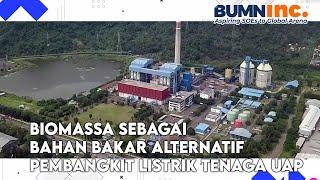 Biomassa Sebagai Bahan Bakar Alternatif Pembangkit Listrik Tenaga Uap