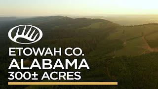 Etowah County, AL 300± Acres