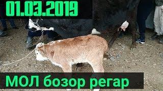 МОЛ БОЗОР ТУРСУНЗОДА МОЛ БОЗОРИ РЕГАР 01.03.2019