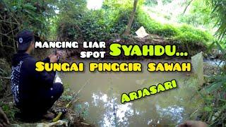 Mancing di sungai kecil strike ikan wader babon