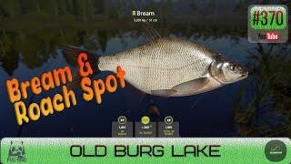 Russian Fishing 4 - Old Burg Lake - Bream & Roach Spot - #370
