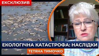 ЭКОЛОГИЧЕСКАЯ КАТАСТРОФА на Херсонщине: последствия для юга Украины / Татьяна Тимочко | Новини.LIVE