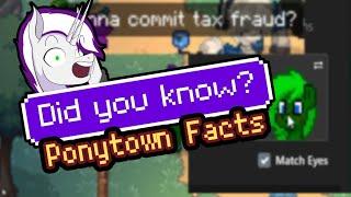 7 Lesser Known Things About Ponytown