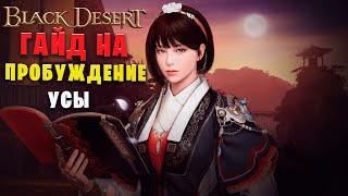 Мини гайд на Пробуждение Усы! (Black Desert)