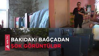 Görün uşaq bağçası nə gündədir – “Kiflənmiş divarlar, siçan yuvaları, dəhşət...” – APA TV