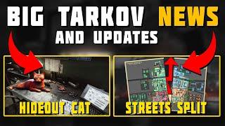 Massive Streets Change, Hideout Cat,  & More! - Tarkov News