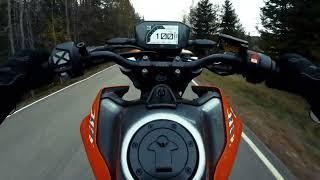 KTM 790 DUKE | AUTUMN RIDE | PURE SOUND - 4K