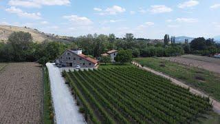 Vinarija Lazar - Vino i vinogradarstvo