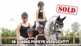 IS POPEYE VERKOCHT?? #joanneneidhoferhorses #vlog386