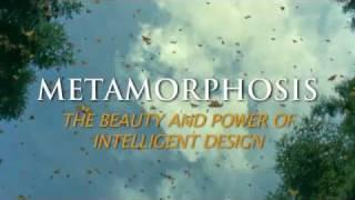 Metamorphosis Trailer - Illustra Media