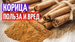 Корица польза и вред I Herbals-ua.com