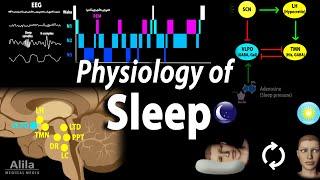 Sleep Physiology, Animation